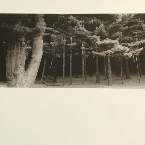 Douglas Busch Original Phograph Signed Negative Collotype Print - Picture 6 of 10